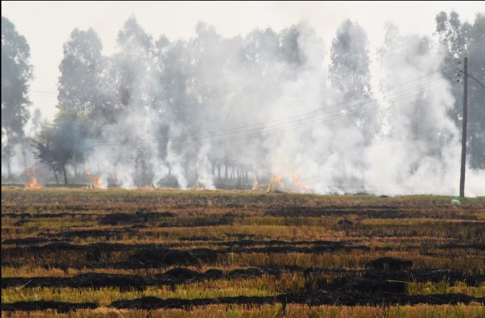 Súlyosan egészségkárosító szennyező anyagok kerülnek az avarégetéssel a levegőbe